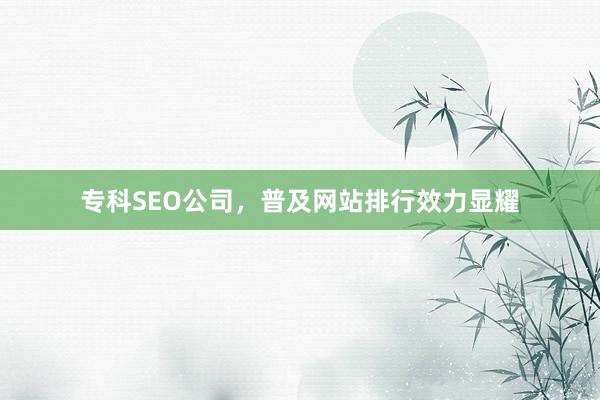 专科SEO公司，普及网站排行效力显耀